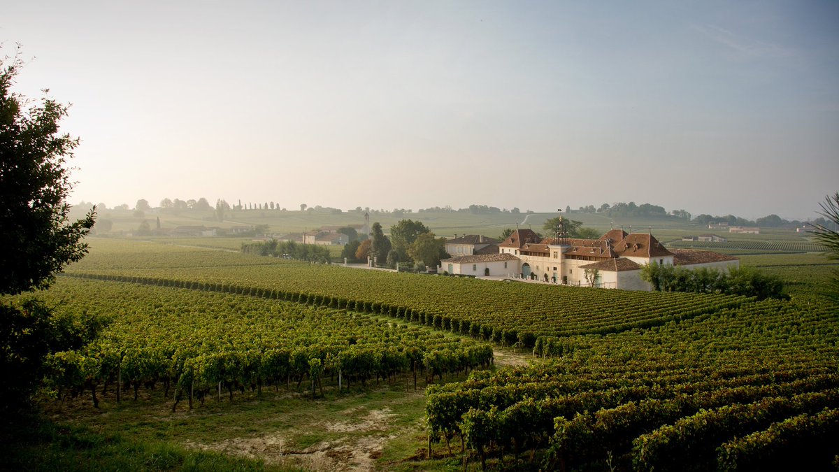 Cru Wine tweet media