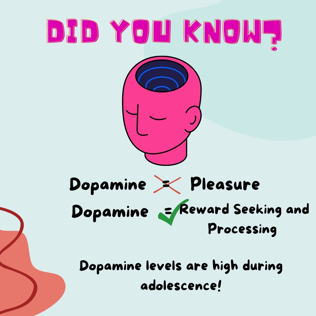 DSECLab's tweet photo. Welcome to the 2nd installment of our Brain &amp; Emotions series! This episode is about the #reward system, which encompasses brain regions that tend to activate in response to rewards. Adolescence is accompanied by changes in this system’s function. Learn more here! (✒️ Bingyi Lin) https://t.co/AX9Gdqd8Nw