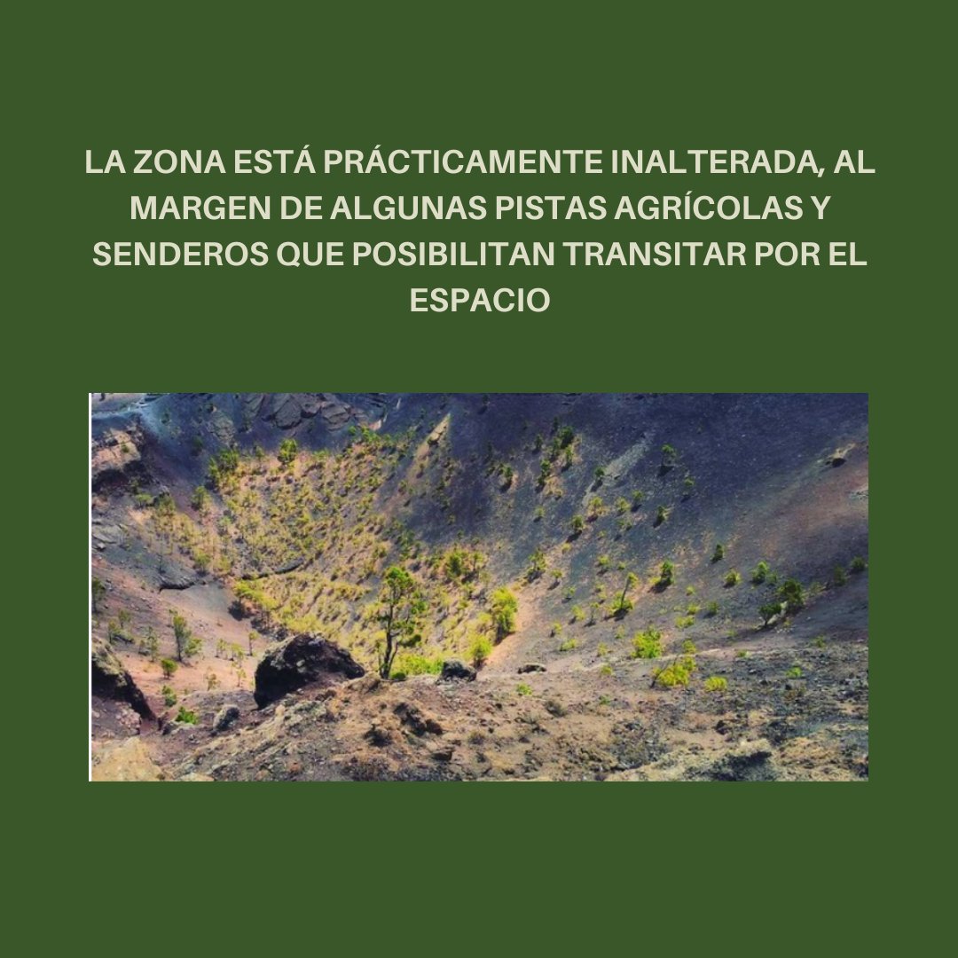 FundacCanarina's tweet photo. @ecolapalma Sigue hilo
Este proyecto se sitúa dentro de un área perteneciente a la Red Canaria de Espacios Naturales Protegidos.
#LaPalma #Teneguia #Canarias #MedioAmbiente #Naturaleza https://t.co/4u9YGf7DR7