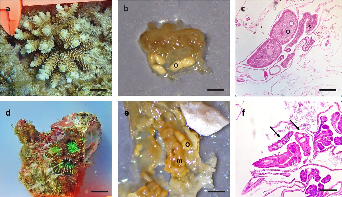 Katya Bonilla tweet media