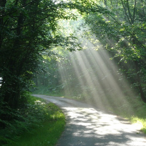 Perfect Japanese word: Komorebi - to describe the dance of sunlight filtered through tree leaves. 

(Words may not create feelings but they certainly help us to notice them...).