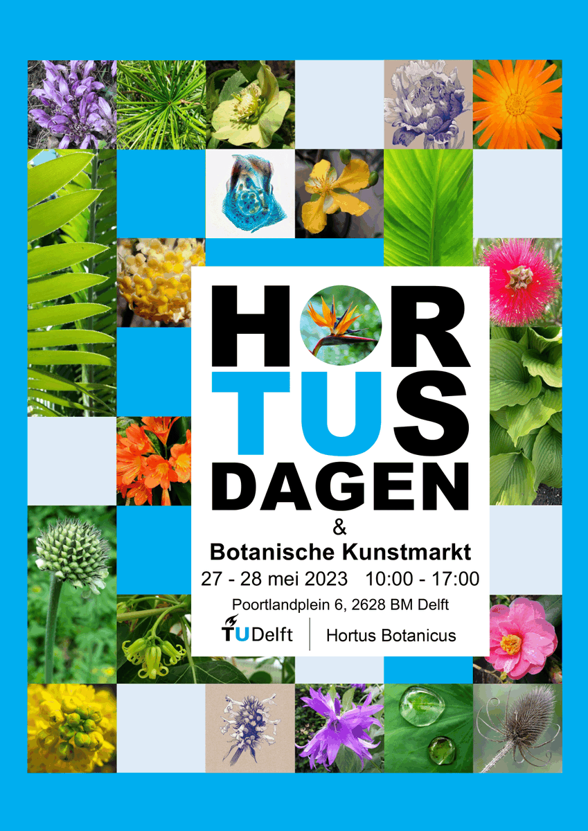 Kom dit weekend  naar de Hortusdagen en de botanische kunstmarkt  in de Hortus Botanicus van de TU Delft met tal van activiteiten....<a href="/tudelft/">TU Delft</a> @hortustudelft.