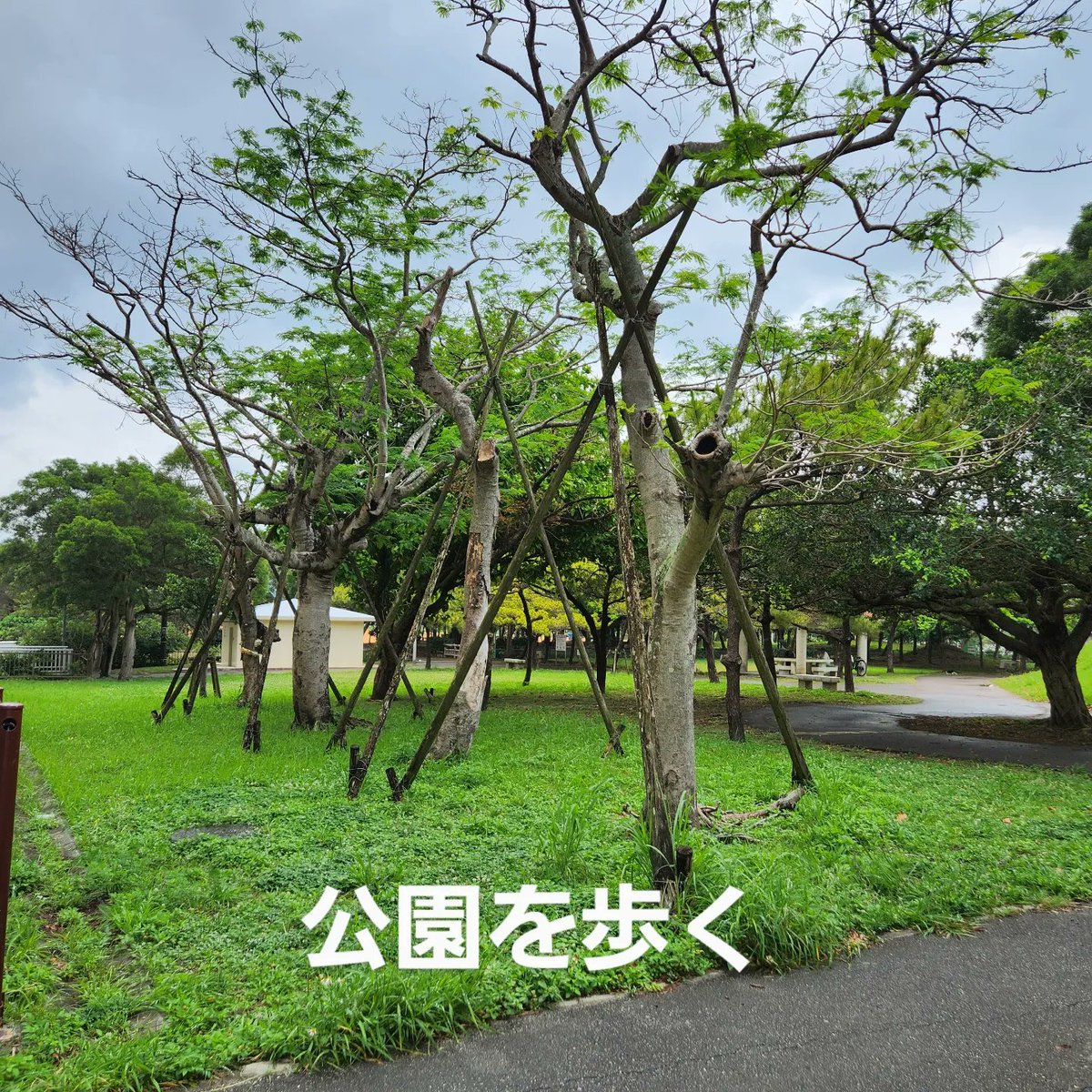 linda_tonaki's tweet photo. 5月25日
自由時間を手に入れた駄目さが顕著に現れた1日
起ききれず・・・午前中を失う😿
だけどさ。15時過ぎると急に怖くなって
ウォーキングに出かけた
その後
旅先でのレシートの整理
自分の小心さと中途半端な真面目さに気がついた日
#年休日記
#19thday
#レシートの整理
#ウォーキング https://t.co/5jhdYgZJLw