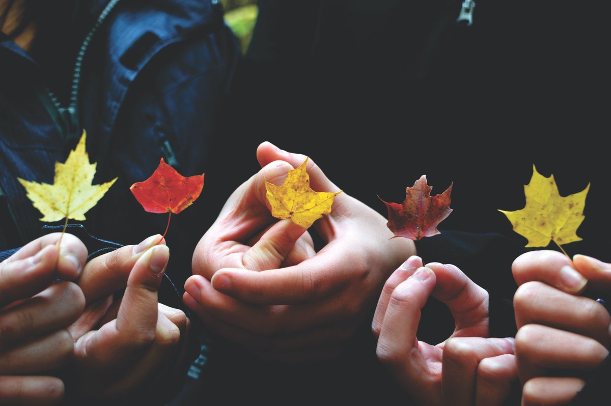 EuChampions's tweet photo. Become a Community #ClimateChampion! Start today with our course! Gain knowledge and empowerment to advocate for climate action in your community. Featuring engaging graphics, up-to-date stats, and a European overview. 
Find out more here: https://t.co/e37cFFW3Qy 
#Erasmusplus https://t.co/tpIh5d2SnD