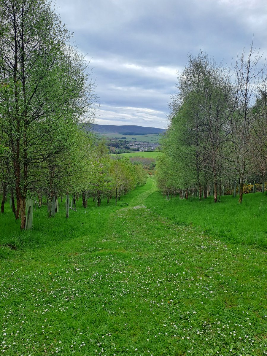 Walking is a great way to relieve stress during study leave! 🌳 Here are a few of my favourite photos from walks so far! :) #study #nature #walk