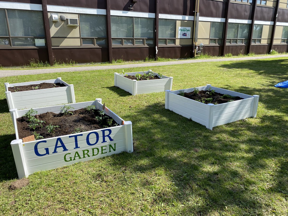 What a great turnout to create our Gator Garden! Thanks to our school council, parents, students and staff! Can’t wait to harvest and share the vegetables! <a href="/LC2_TDSB/">Learning Centre 2</a> @LN10Alvarez