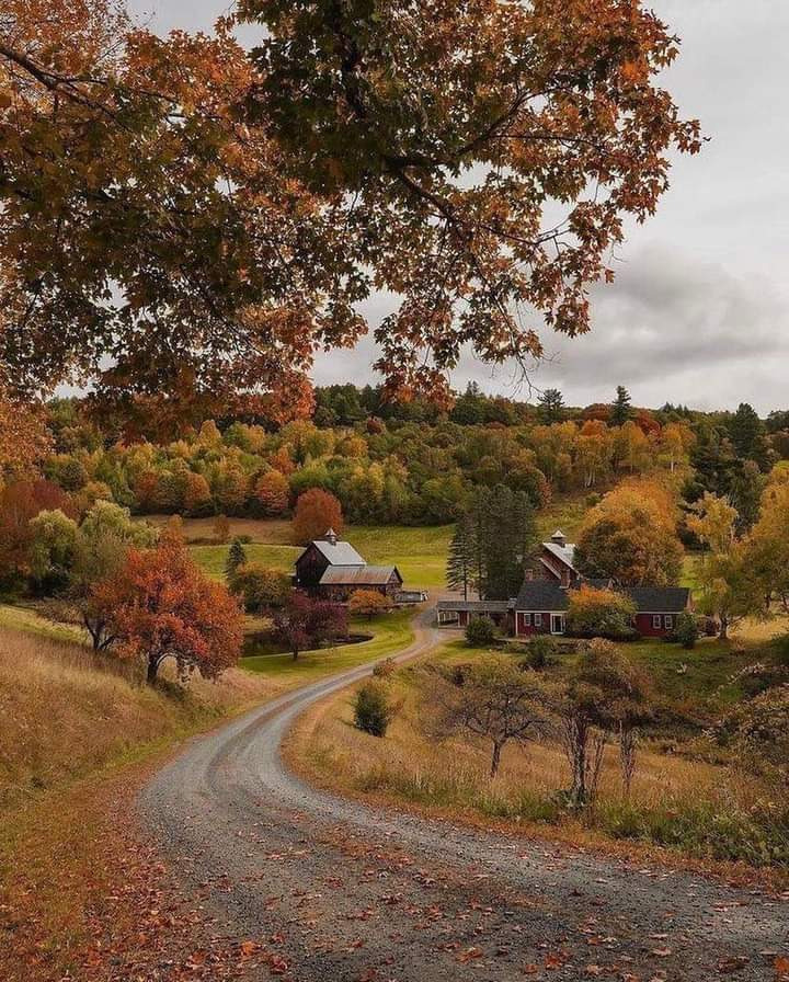 autumn leaves.