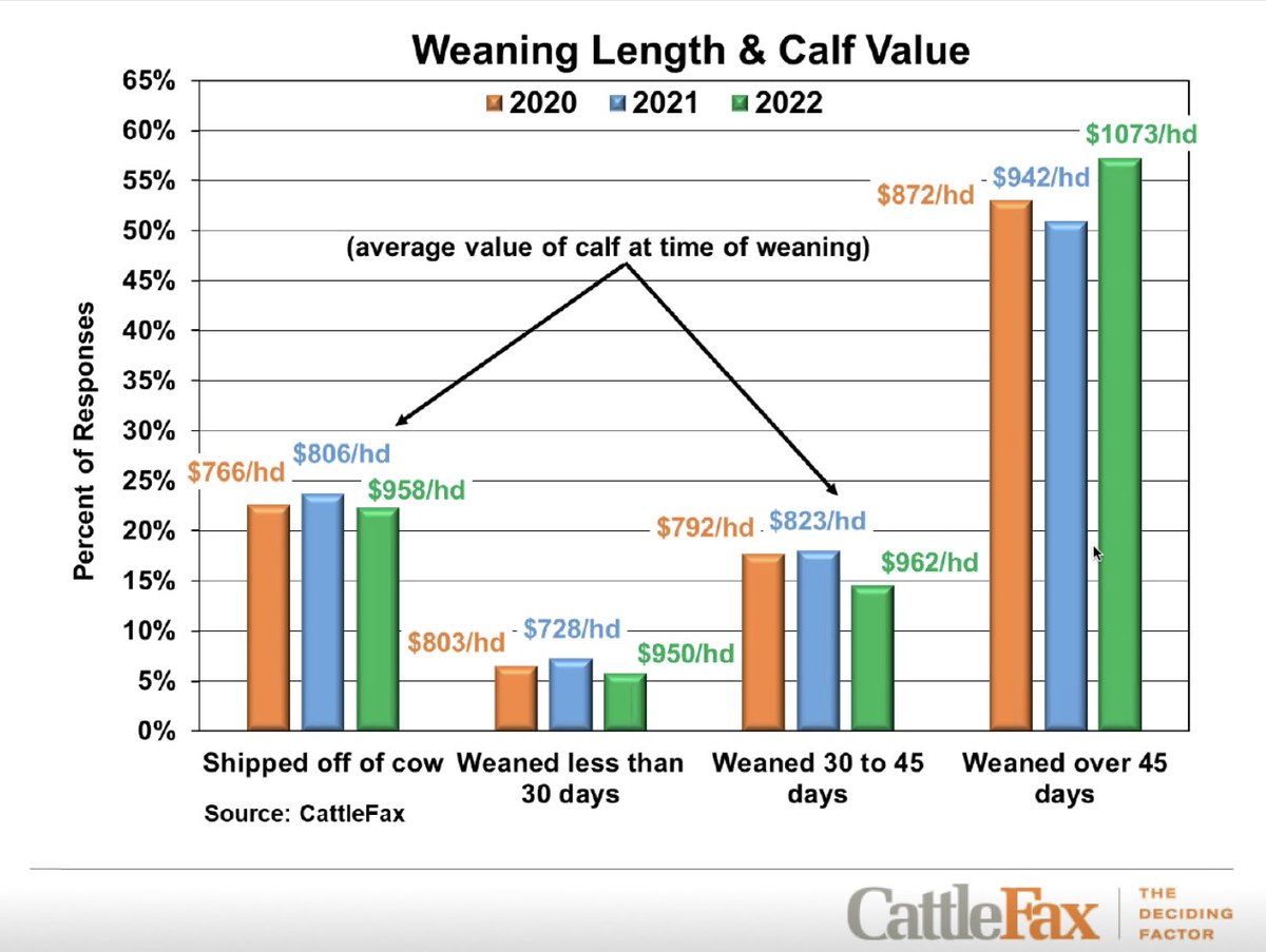 Great early morning drive to the Pitzer Ranch 4-H Horse Judging Contest to officiate and listen to reasons, followed up by last night’s Cattle Fax webinar where they shared results of their Cow-Calf Survey. Some results not so surprising, others maybe a bit more interesting. 😁
