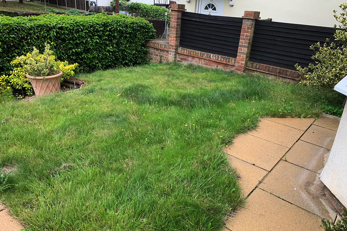 jongowergarden1's tweet photo. This formal tiered front garden in Coggeshall, Essex presented both design and build challenges and is looking fantastic after the cold winter.  The planting  has been designed with a purely white flower scheme set against an evergreen background. #frontgardendesign https://t.co/LOLtWM18Mr
