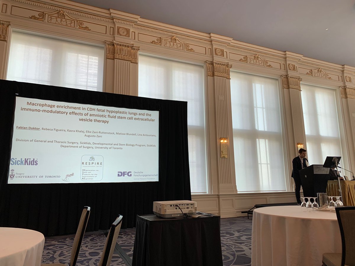 Fabian Doktor tweet media