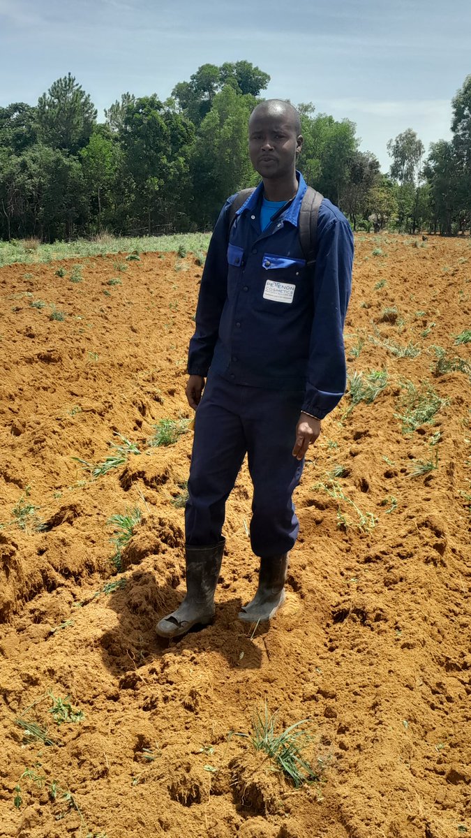 Pensons à investir plus dans l'agriculture pour un développement durable de l'Afrique. 
Bonne fête de l'union africaine. 
#UA_2023