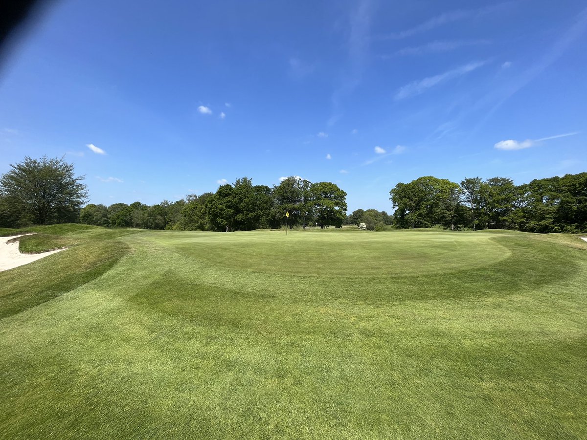 Gemma Light tweet media