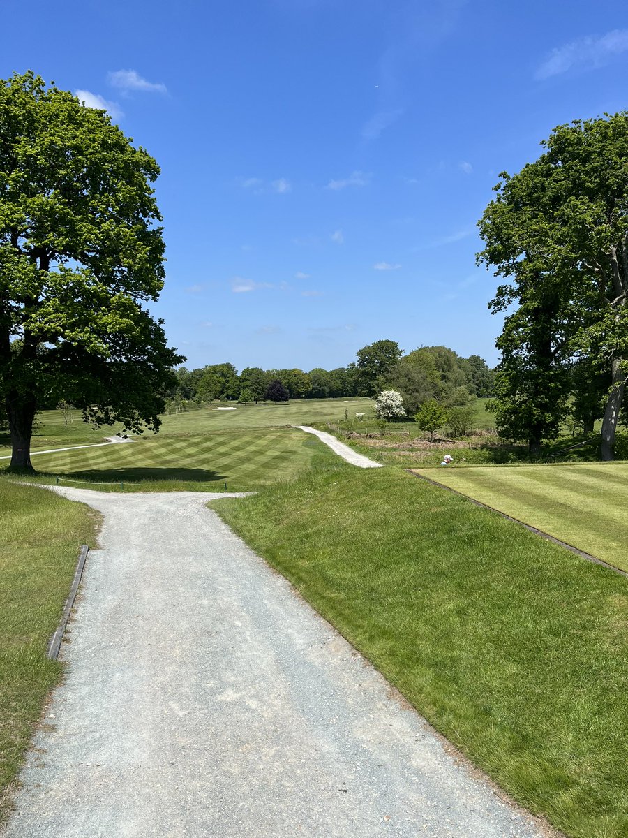 Gemma Light tweet media