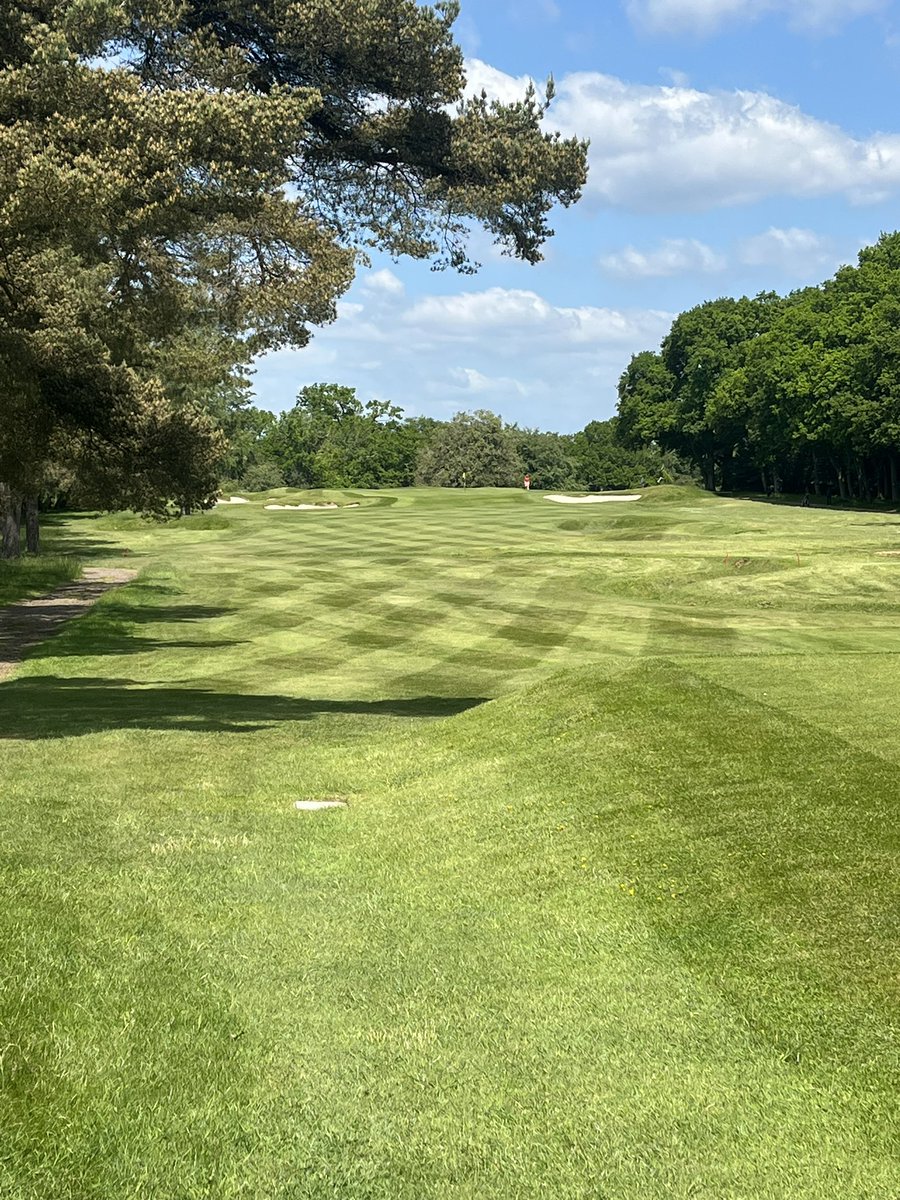 Gemma Light tweet media