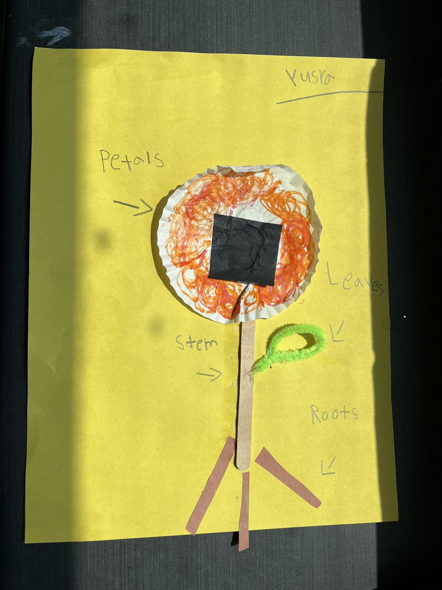 Thanks for the Tinker Tuesday inspiration <a href="/batchelarl/">Ms. B</a> ! 1-4 has been exploring living things. We had so much fun creating the parts of a plant from loose parts! <a href="/DesmondHDSB/">Viola Desmond Public School</a>