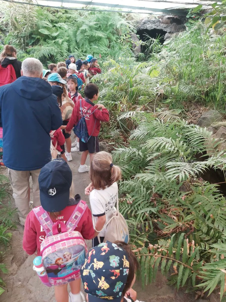 As part of our science work on plants, Year 1 Tafira visited Jardin Canario. We saw lots of beautiful flowers and trees and some some animals in the pond too. We also watched a puppet show and leaned some songs to help us learn the names of some plants.