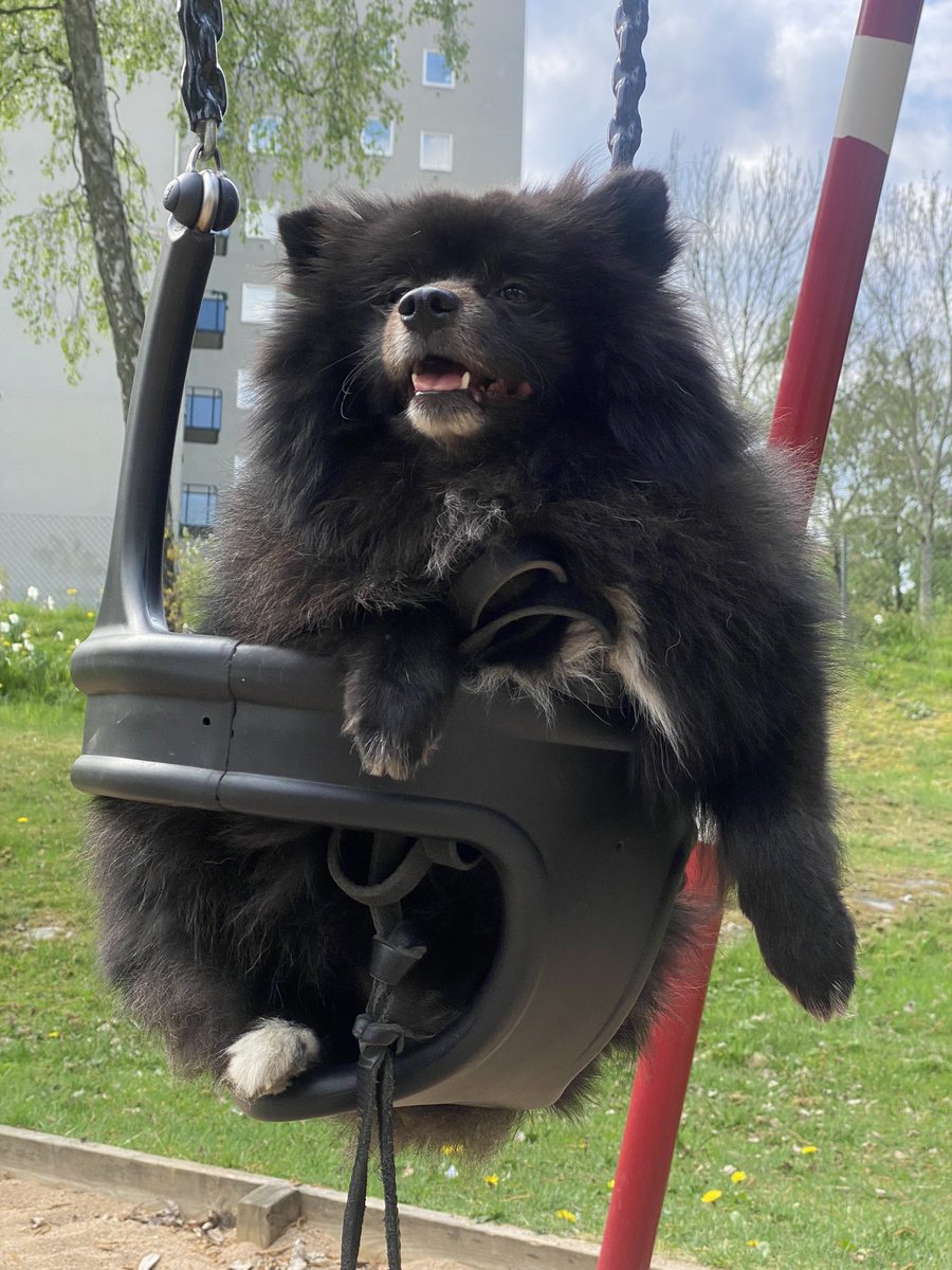 Lexus önskar er alla en trevlig dag i solen idag😄