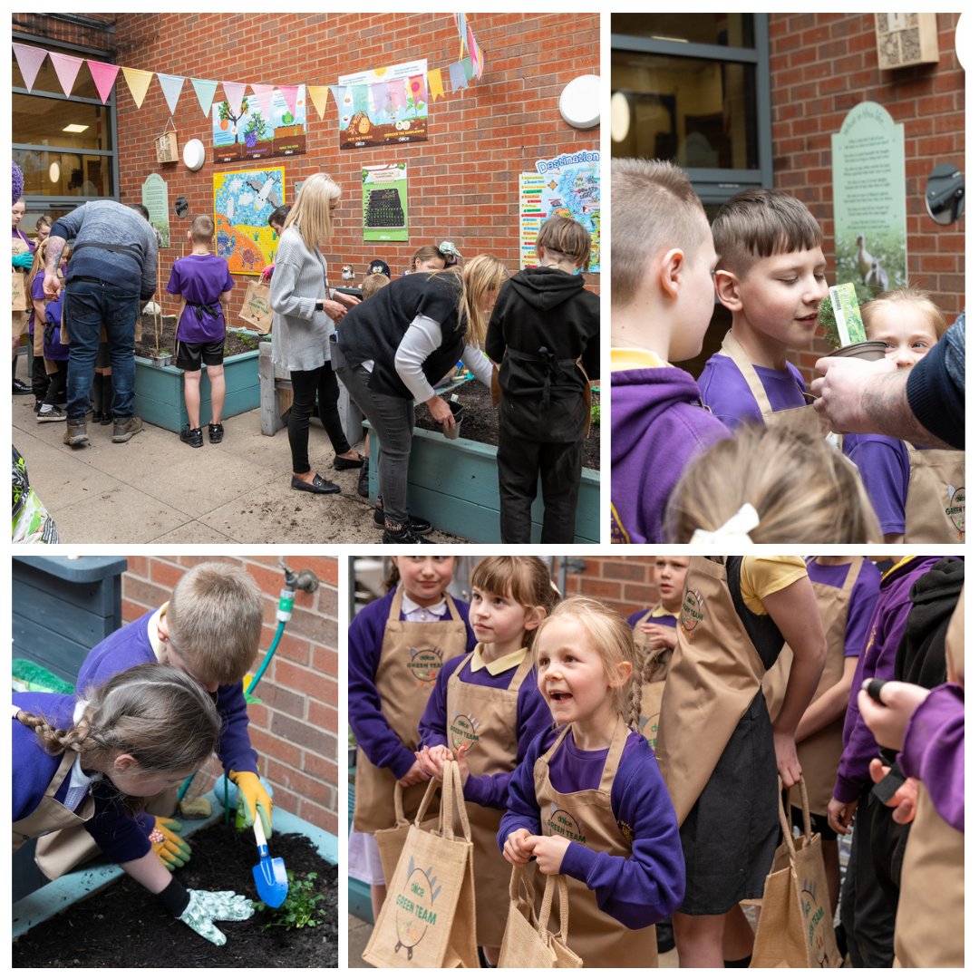 Dolce Catering tweet media