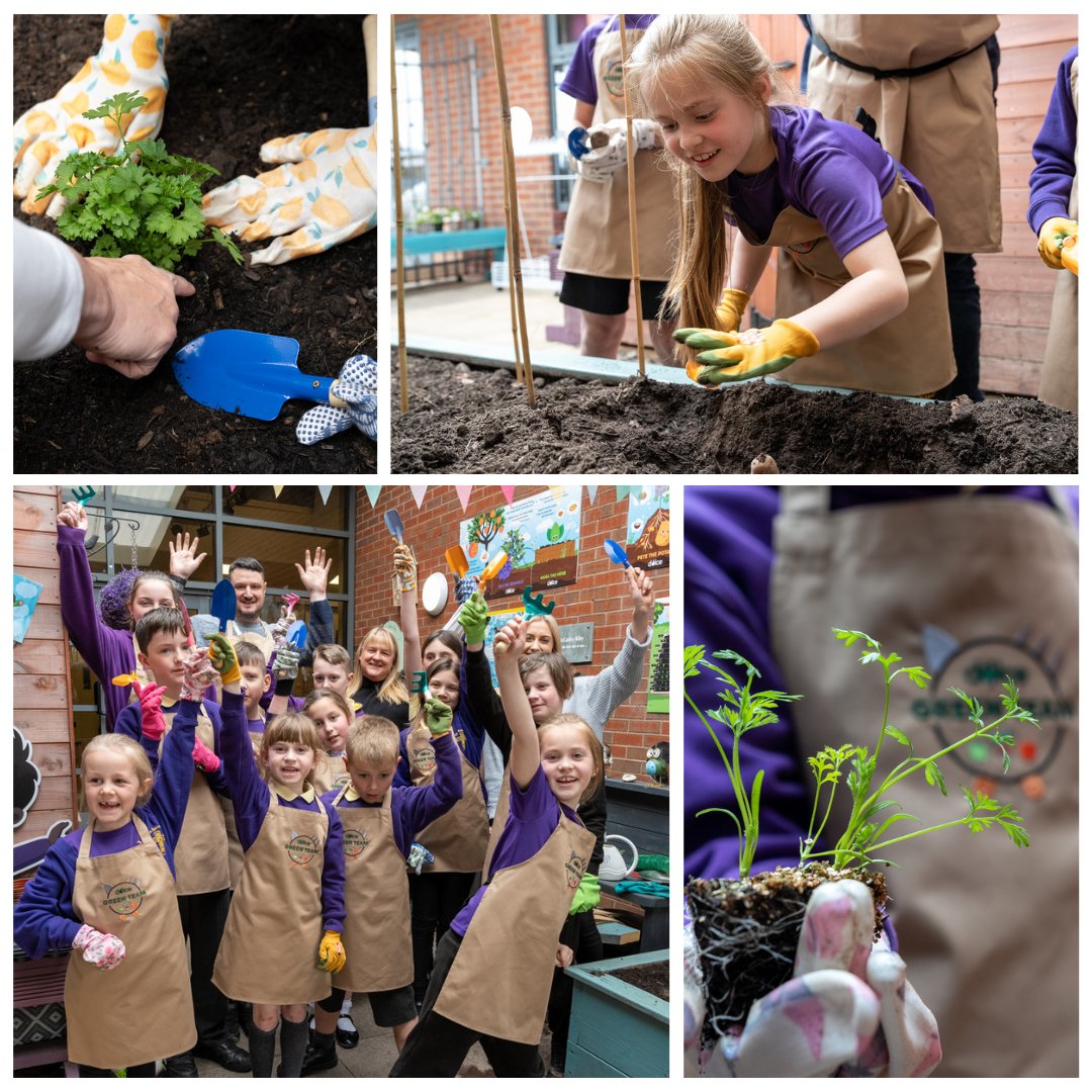 Dolce Catering tweet media