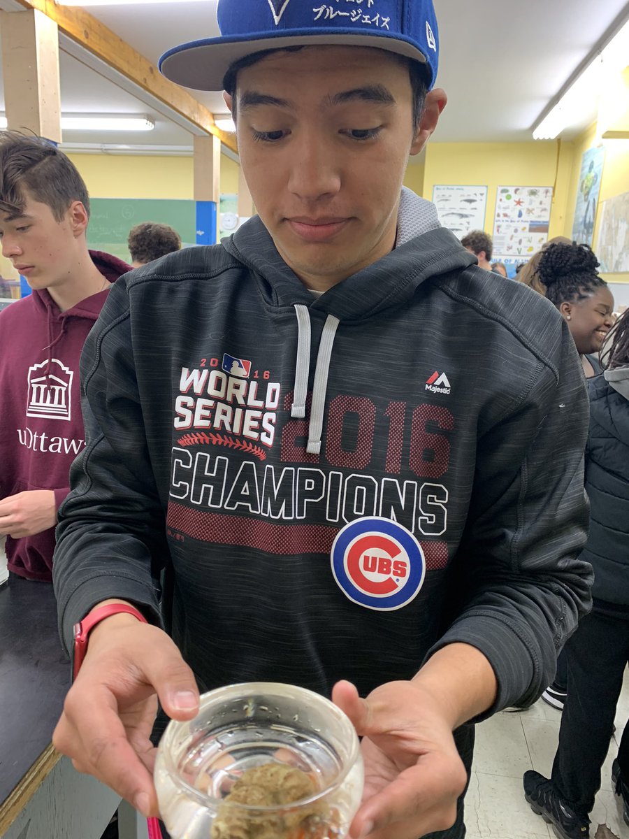 JordanTSimard's tweet photo. Starting the day off with an invertebrate classification lab! @StMarkOCSB @ImmaculataOCSB @HuntsmanMarine https://t.co/3rSj4ibj3n