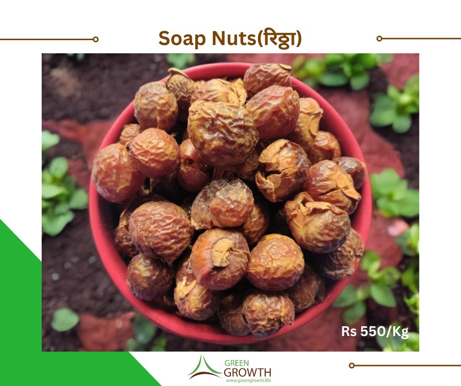 Soap Nuts (रिठ्ठा)!

🌱 Embrace eco-friendly and sustainable cleaning with Soap Nuts, nature's gentle detergent.

🧺 These natural wonders contain saponin, a natural soap that cleans effectively.

To order leave a message or visit our website:
greengrowth.life/product-detail…