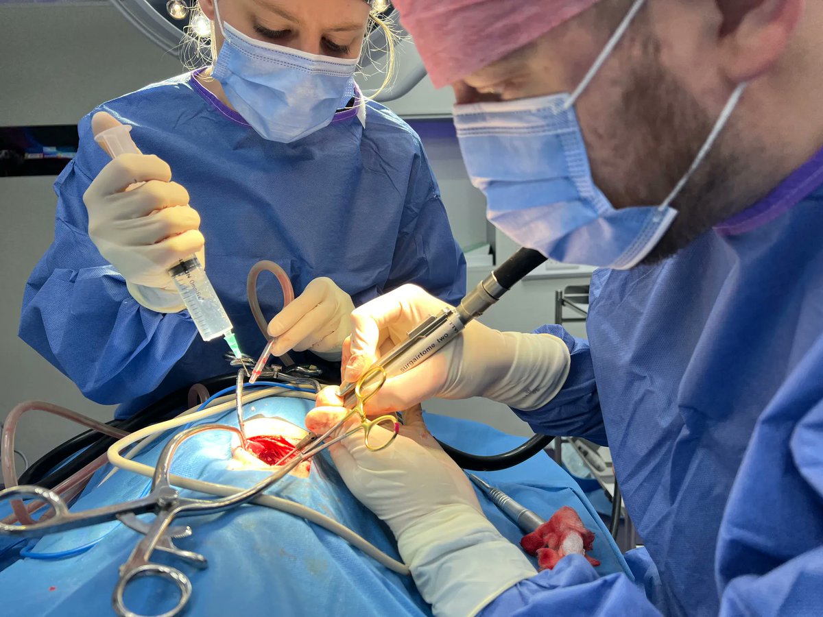 Neurology referrals are now down to next day booking. If you have any neuro cases that need attention then contact us on info@northwestreferrals.Co.uk or call 01942 242001 #AccessibleReferralServices