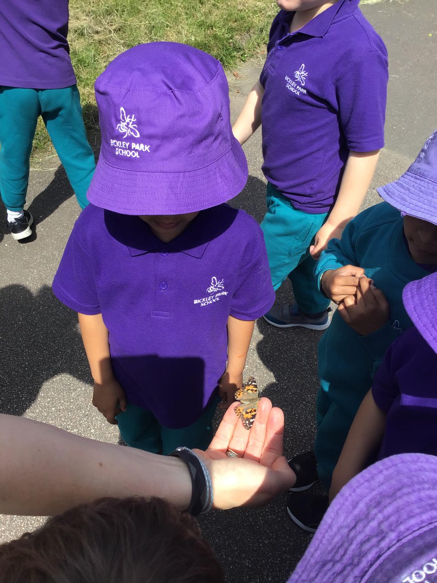BickleyParkSch's tweet photo. #BPSReception have loved watching their caterpillars grow, spin their cocoons and change into butterflies. RKA released their butterflies today and let them fly off to explore their new world. #BPSacademic https://t.co/Q48h4LA8TM