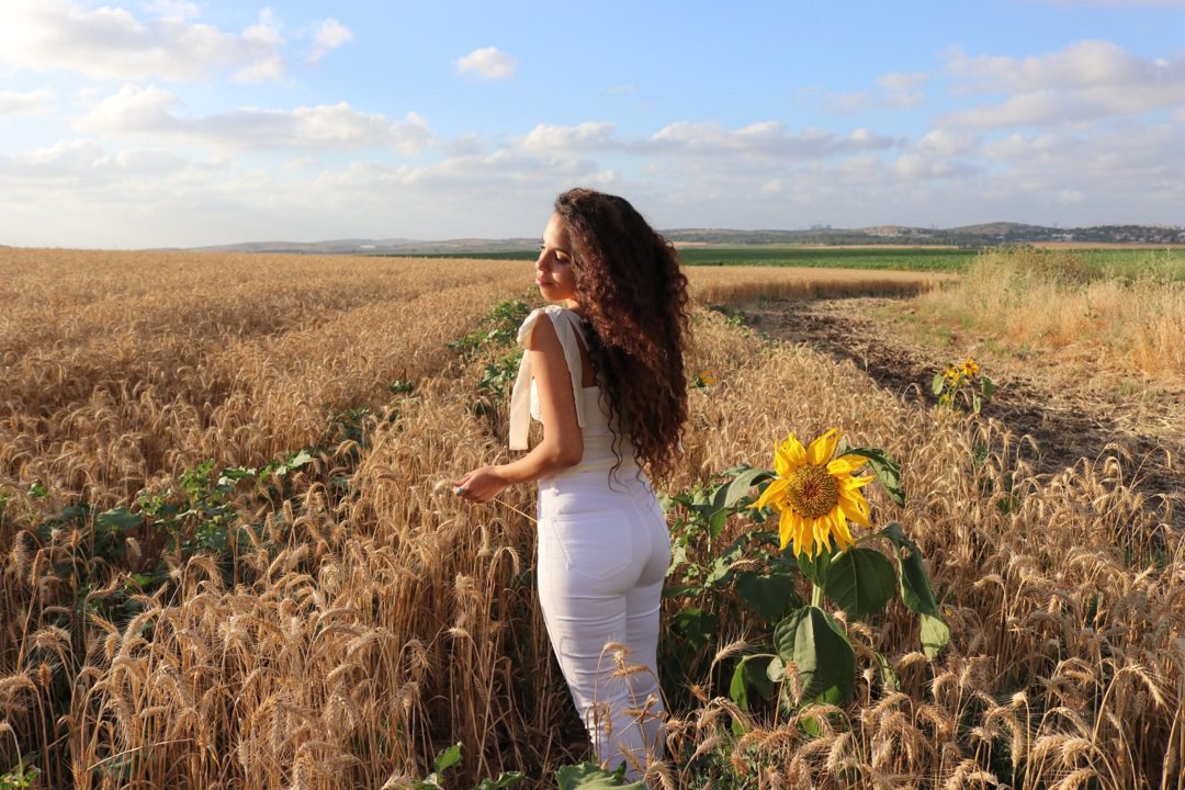 Israel_Avia's tweet photo. En la festividad judía Shavuot conmemoramos la entrega de la Torá. 
Se conoce también como la fiesta de la cosecha porque en esta época se recogen los primeros frutos en Israel. 
¡Feliz Shavuot! חג שבועות שמח 🌾 https://t.co/HKNGbkHhJL