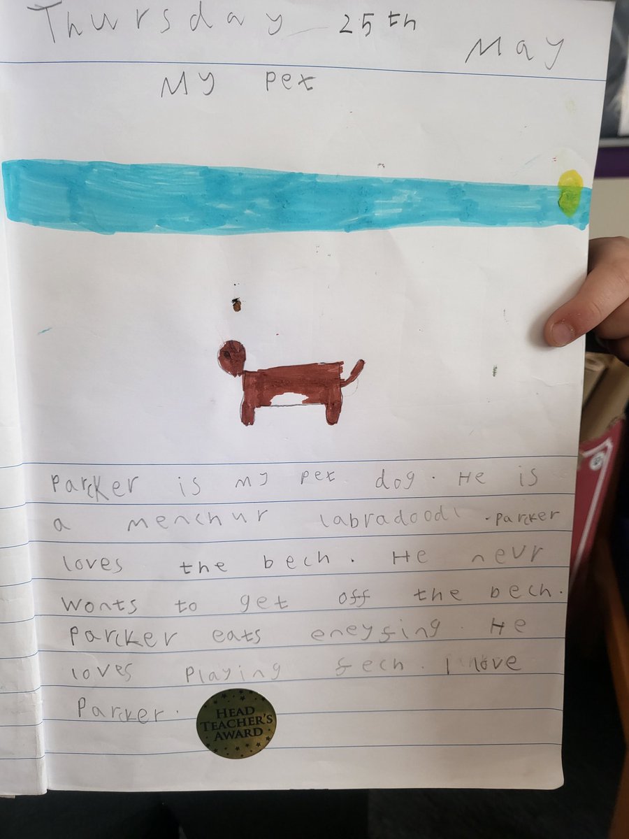 glebeps's tweet image. Had a visit from these superstar writers ✨️ 📝 and then we shared funny  stories about our 'naughty' pets. Lots of laughs about the time our dog ran off with the Sunday lunch🍗🫢🤣 Look at those smiles! 🥰 #petstories #lovewriting #oracy
