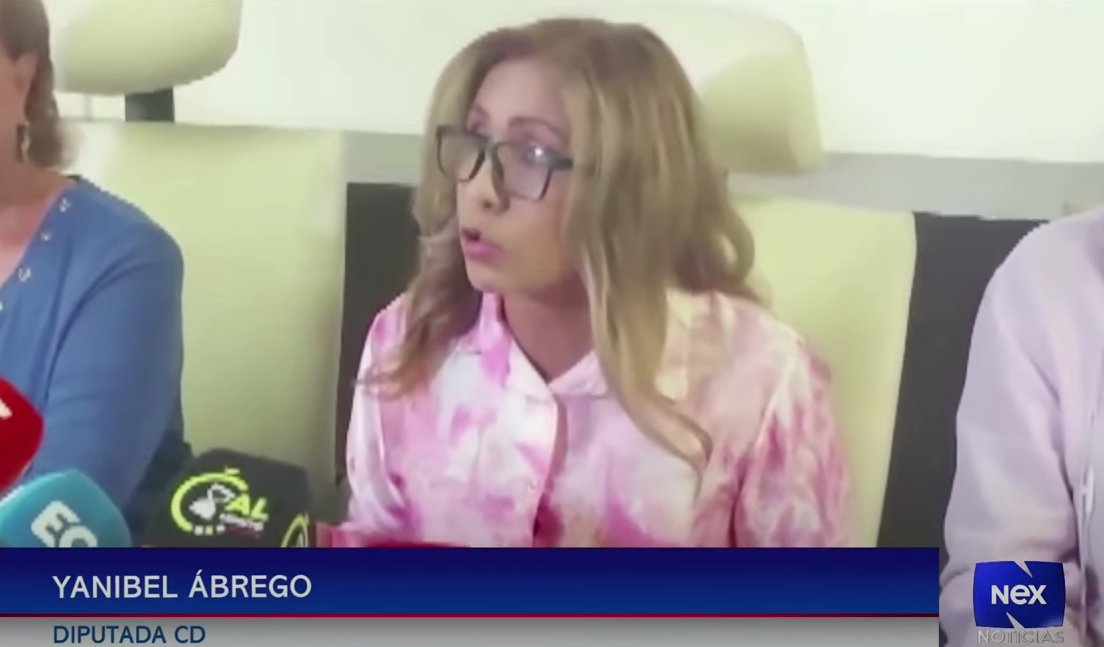 Diputada Yanibel Ábrego denuncia campaña de persecución acortar.link/8se4yN #NexNoticias