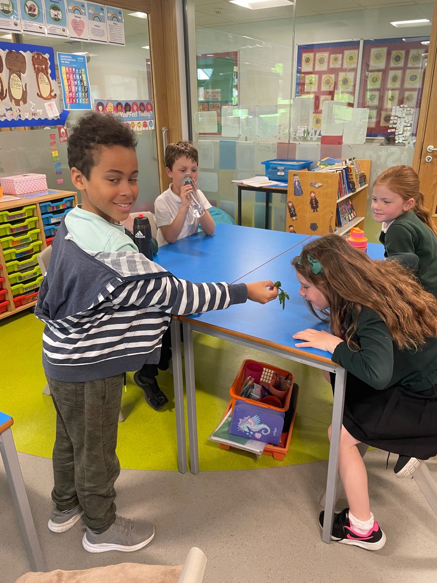 GreenbraeP5's tweet photo. We had a taster session this week and enjoyed trying different flavours from locally sourced ingredients @Greenbraeschool https://t.co/WHuuxvZPF6