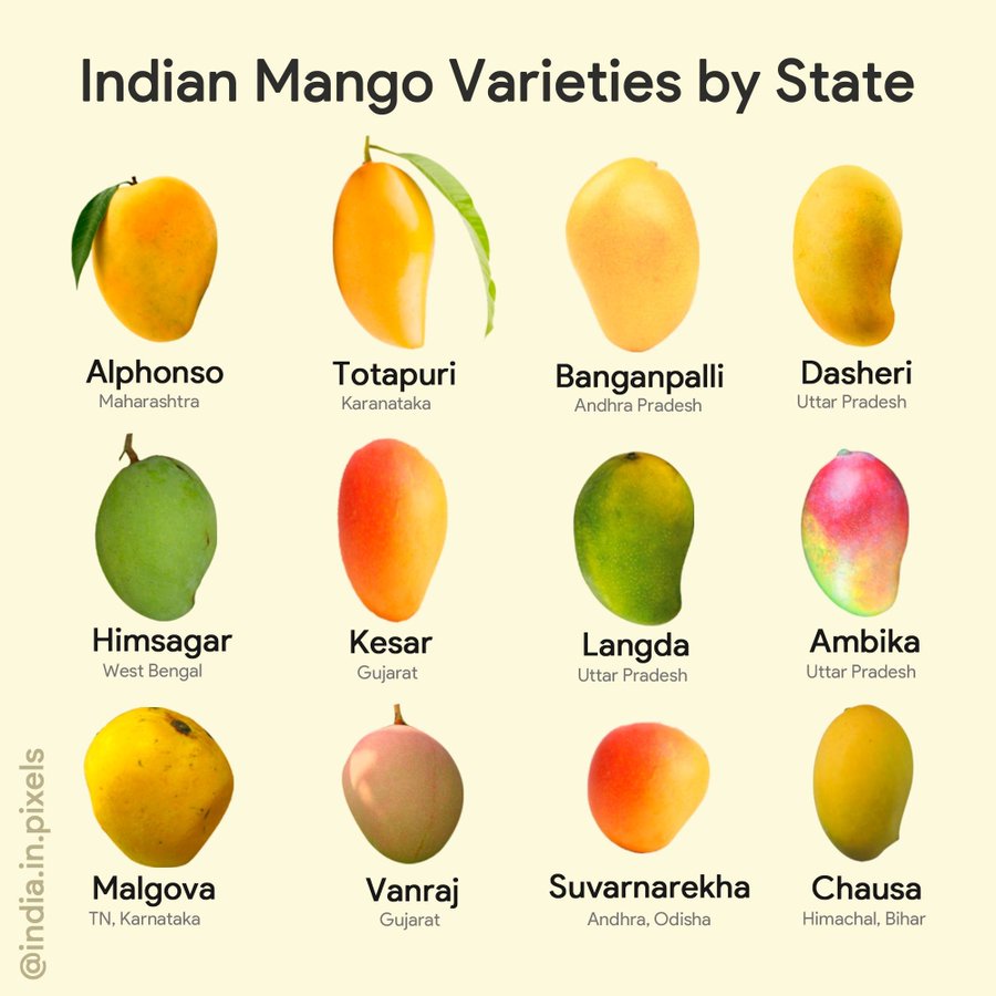 Love our Hapus from Dharwad/Belgaum which is called Alphonso in Maharashtra. We use it for making Sheekarni, so that is the hot favorite. For eating, I like Mallika and Langda. :) #Mangoforlife