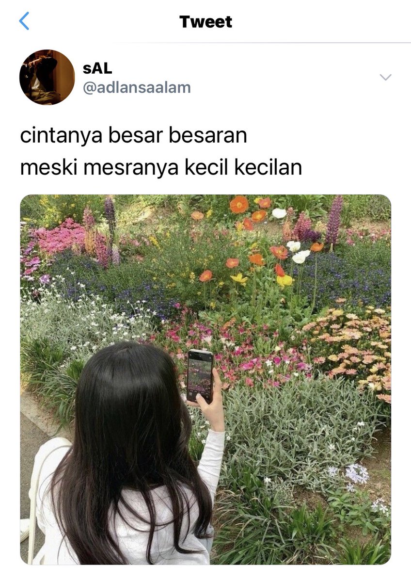 ☽ tweet media