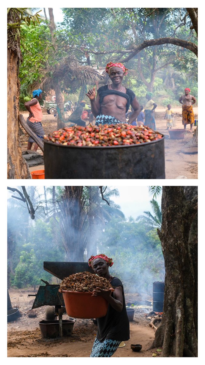 MeghyLost tweet media