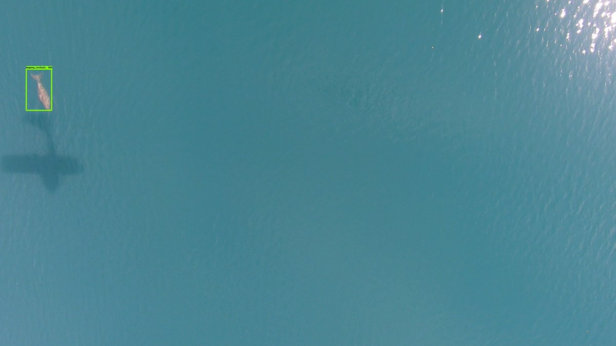 A seminar led by <a href="/MannocciL/">Laura Mannocci</a> researcher <a href="/ird_fr/">IRD.fr</a>  <a href="/umrMARBEC/">Marbec</a>  will describe data processing steps for automated detection of megafauna on drone images. The seminar will be held at RCO-<a href="/brin_indonesia/">BRIN Indonesia</a> on May 29 from 2-4 pm Jakarta time (zoom link will be made available). <a href="/SelamatIJL/">SELAMAT International Joint Laboratory</a>