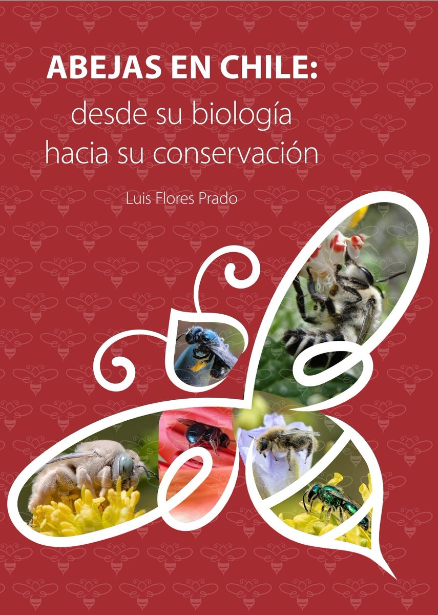 (1/4) con los años, varios entomólogos y entomólogas han ido trabajando para cambiar los paradigmas asociados a los insectos. Aunque aún no se lanza en físico, el libro "Abejas en Chile: desde su biología hacia su conservación" era ya esencial de hacerse ->