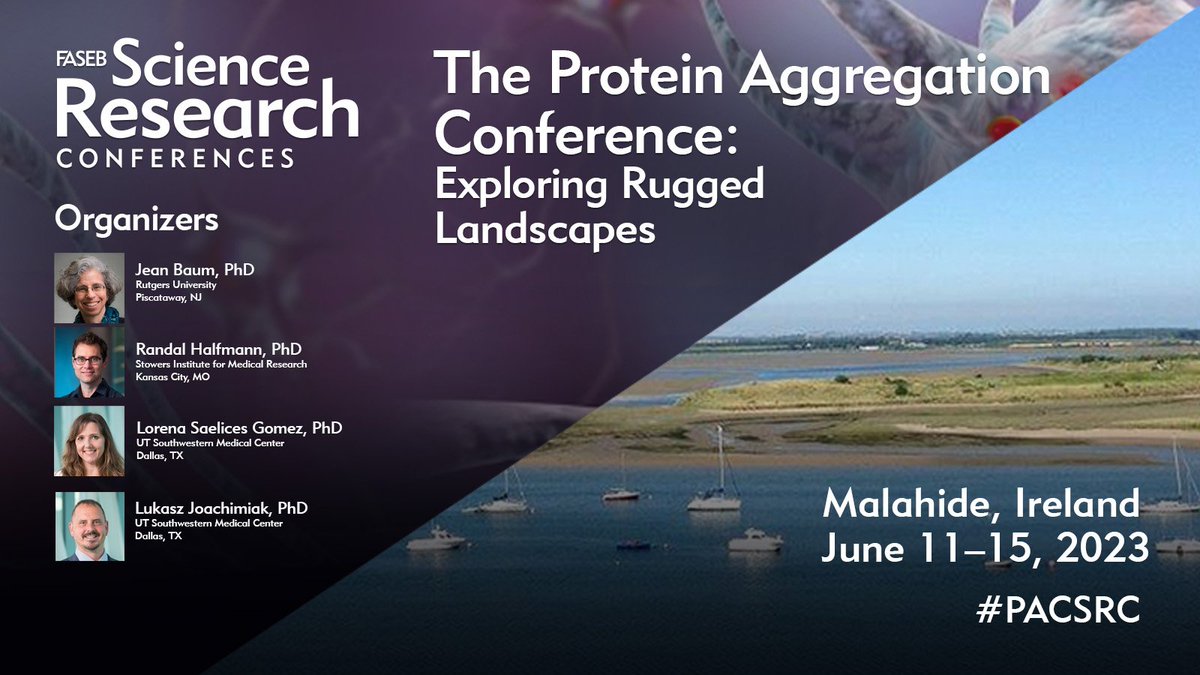 FASEBorg's tweet photo. Last call for registration at the Protein Aggregation Conference. Join us in Ireland on June 11 for the latest in this important discipline. #PACSRC @HalfmannLab @SaelicesL
Register: https://t.co/FuGA4VyXxA https://t.co/WBXu8Jewqi