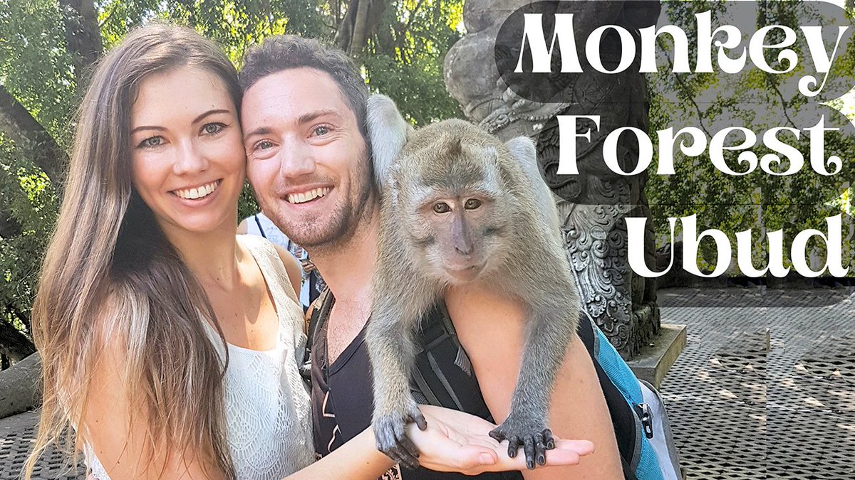 TroyDeanna's tweet photo. New video! https://t.co/Ke9sZMsJ6h Wild and free macaque monkeys run, play, and jump on visitors at the Monkey Forest Ubud Sanctuary in Bali Indonesia!
#indonesia #ubud #bali #monkeyforestubud #monkeyforestsanctuary #monkeyforestubudbali #sacredmonkeyforestsanctuary https://t.co/sq9aoq4PrU