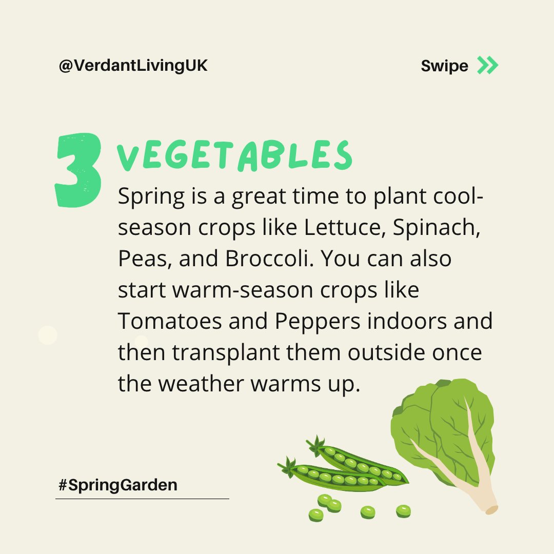 Today we have a list of flowers, herbs and veggies to give you an idea of what to plant in spring🌼

#nature #springgardening #mygarden #tulips #springtime #springblooms #flowerbulbs #gardeninguk #flowergarden #springbulbs #gardeners #gardeninglife #gardenphotography #growyourown