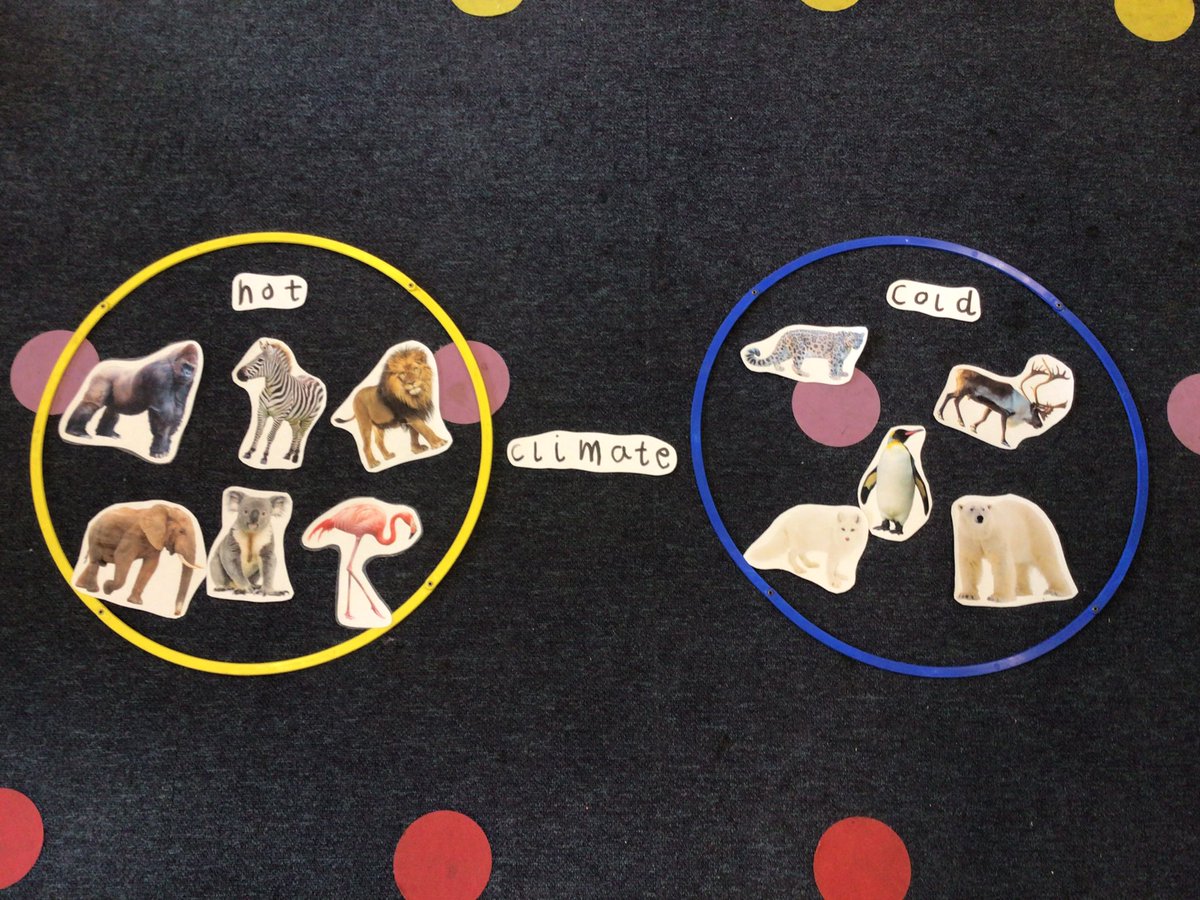 Canon_Reception's tweet image. Reception have been discussing and sorting the animals based on whether they live in hot climates such as the African Savannah 🦁🐘 or cold climates such as the Arctic 🐧🐻‍❄️ @Cornerstonesedu #AnimalSafari #EYFS @CanonSharples @LT_Trust #cspsscience