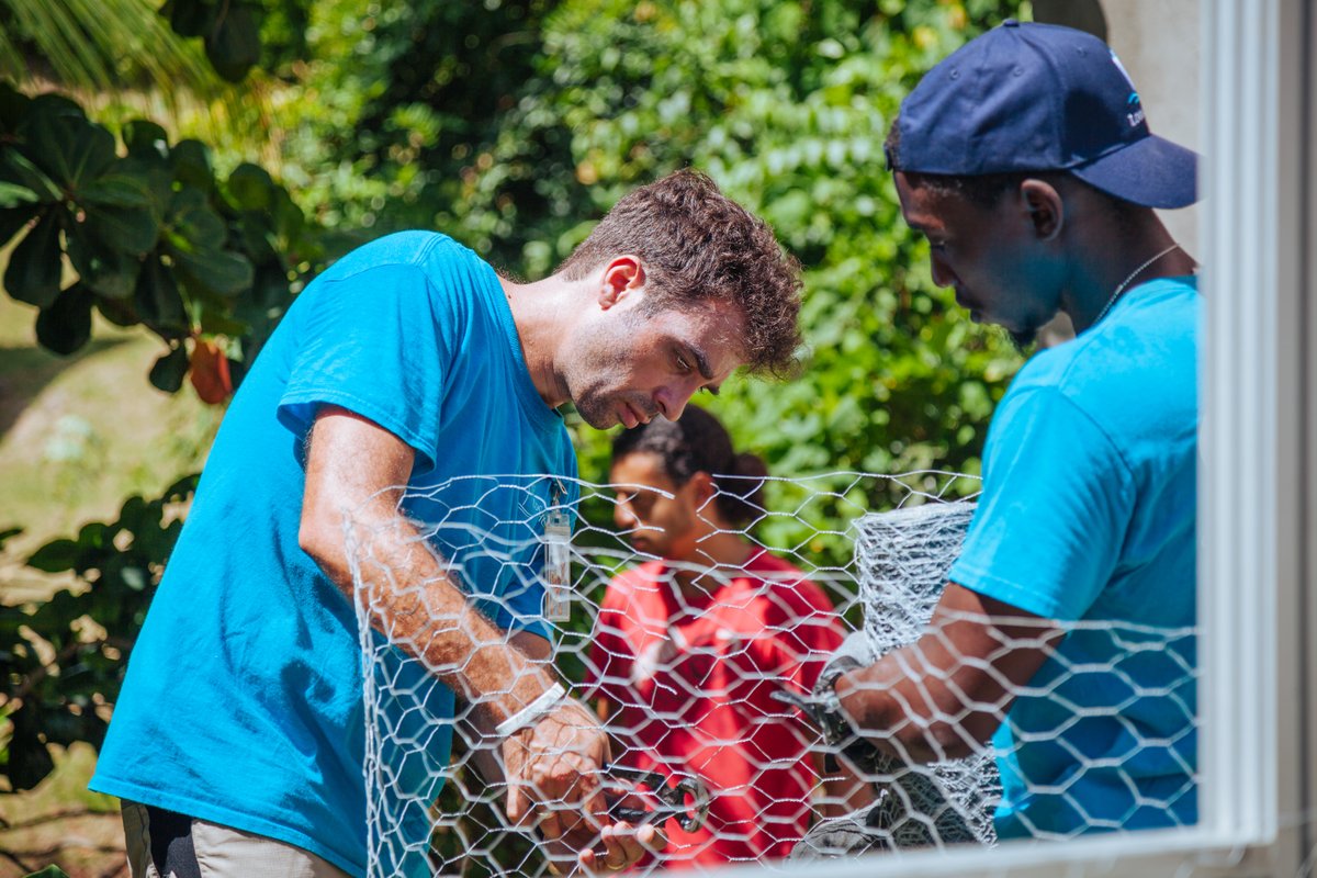 logoshope's tweet image. Sharing Help
In the ports we visit, we partner with many like-minded local organisations, assisting them in serving the local community. The crew get involved in different community activities, such as food distribution, construction or assisting in educational events.