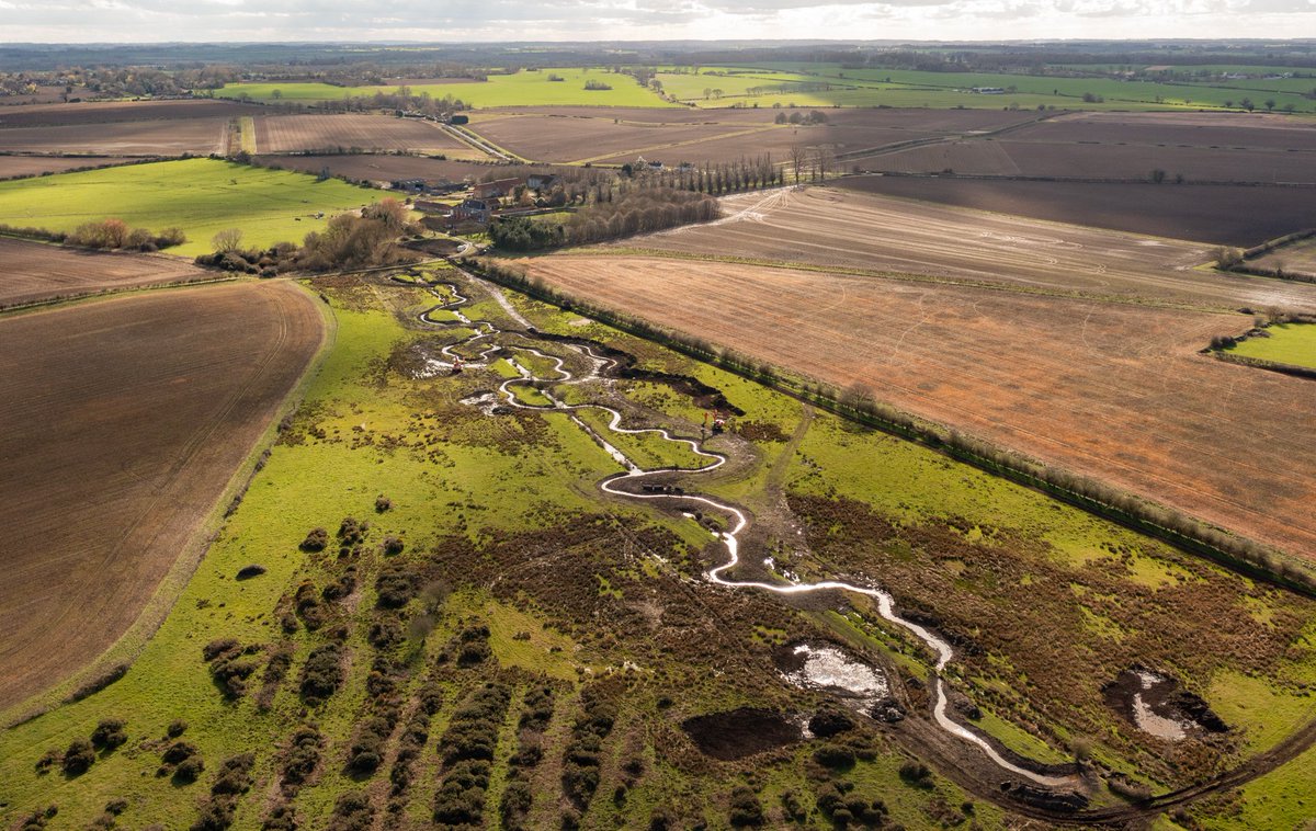 N_Rivers_Trust's tweet photo. It's been one of our busiest periods of project delivery and we're super proud of what's been achieved!

Natural processes reinstated on 2 Wensum #chalkstream tribs 💙

Partnership working @EcologyRivers &amp; @EnvAgencyAnglia, additional funding @CocaColaCo 

https://t.co/pPJMQAWdYI https://t.co/onfqiP15g0
