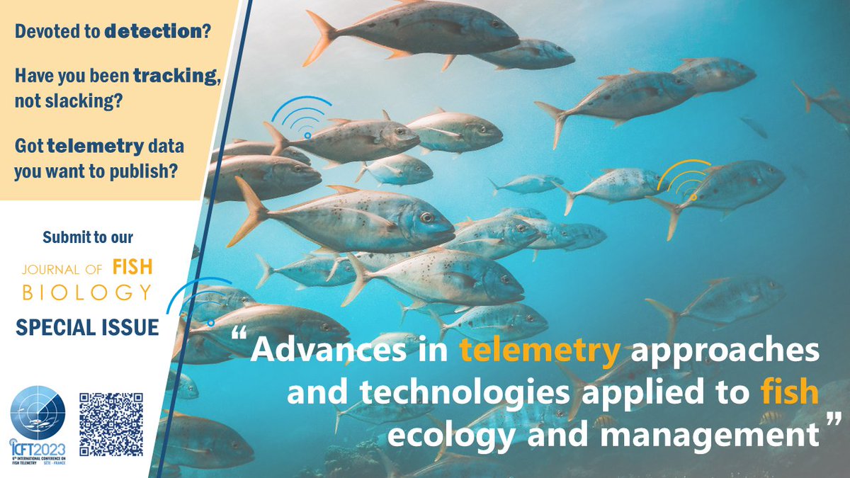 ‼️CALL FOR PAPERS‼️ 🐟🦈😊

We are happy to announce that the @icft2023 was a great opportunity for a Special Issue on #FishTelemetry in @TheFSBI 

Led by Guest editors & fish trackers: @SharkMourier @murray_taryn @FisheriesRobert @kbg_conserv
More info:
onlinelibrary.wiley.com/page/journal/1…