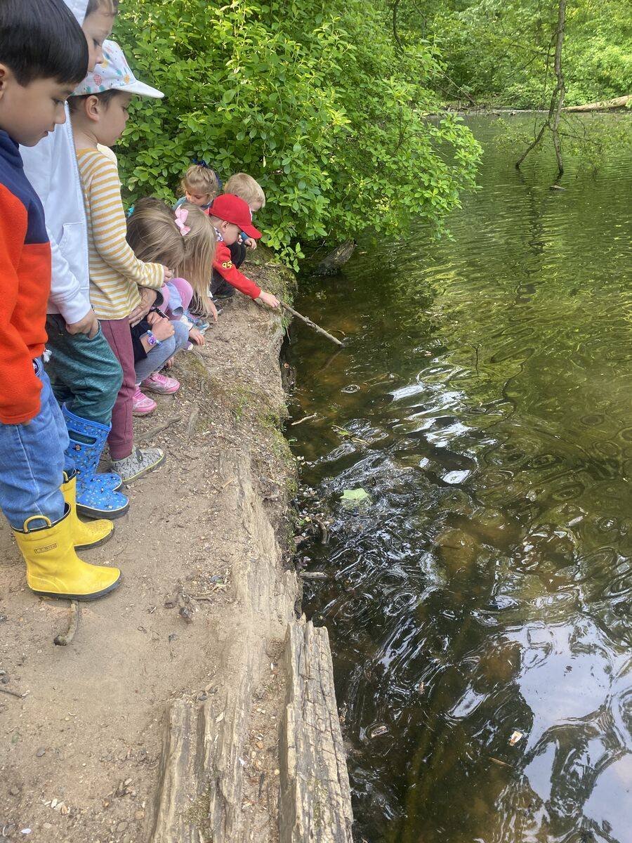 hfsFriends's tweet photo. The Monarchs saw turtles, a beaver dam, a snake hole, lots of bugs, geese, and so much more on their walk to Hopkins Pond!
#outdoorlearning #walkingtrip #earlychildhood #QuakerEd #joyouslearning https://t.co/hk4Js8YyTP