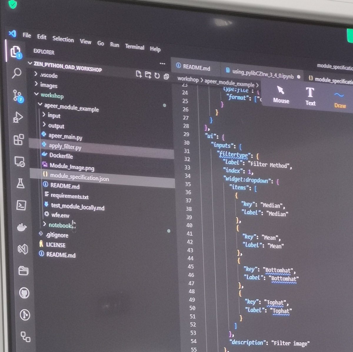 jmutterer's tweet photo. Day3 of our Python for #bioimageanalysis training @sebisabs presents OAD solutions to access @zeiss_micro images pixels and details, develop custom APEER modules, train AI models that you can use in your own python code 🤩. @RTMFM1 @Fr_BioImaging @egrandgirard1 @Marcodv93 https://t.co/IkT1lOZqZi