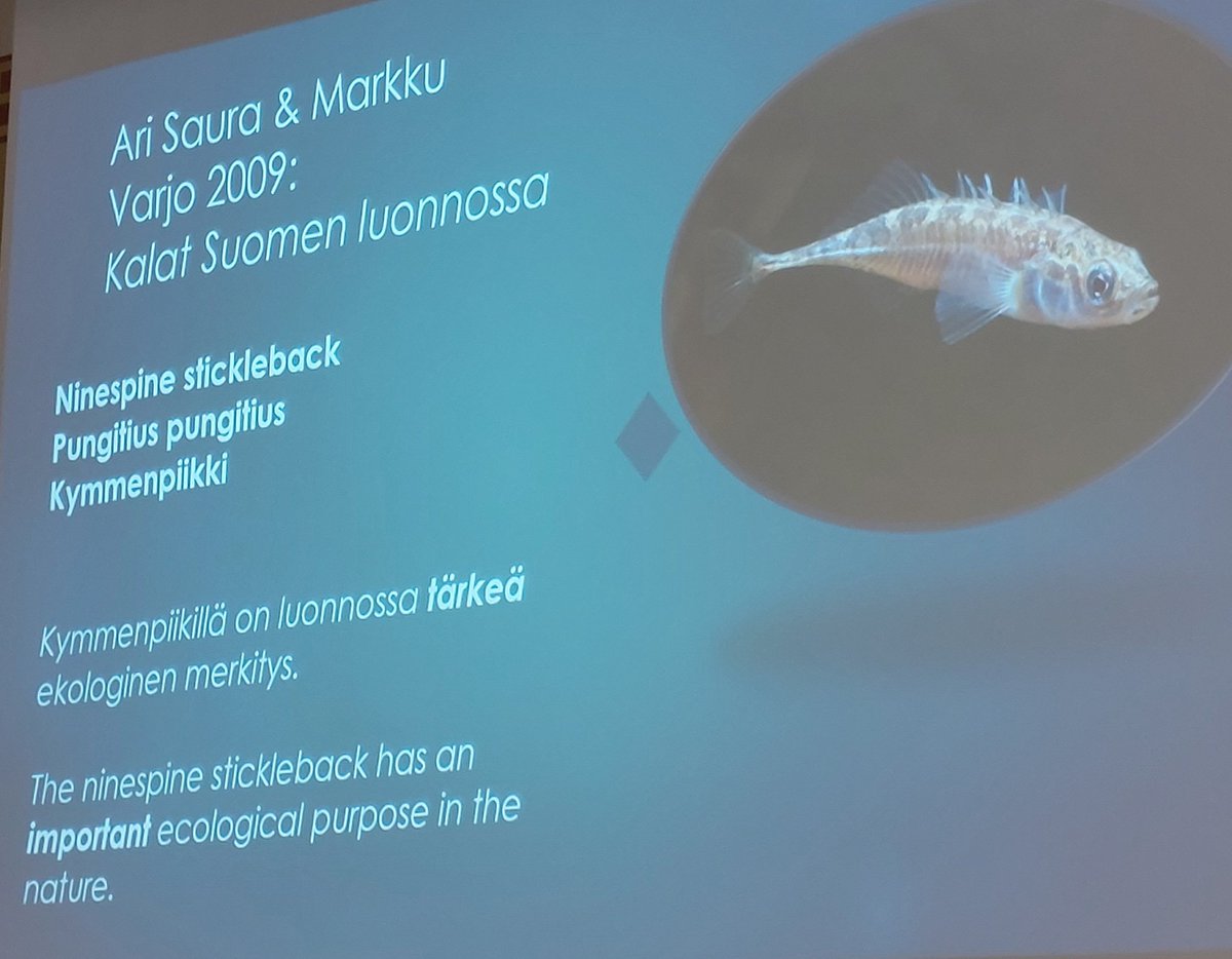 NinaVNygren's tweet image. Harri Uusitalo from @HumBio_project has analyzed the (hostile) language used of other species on Suomi24 and older and  newer books. 

We have plenty of evidence of such language used about rats too 🐀 @HelsinkiRats
#SSD2023