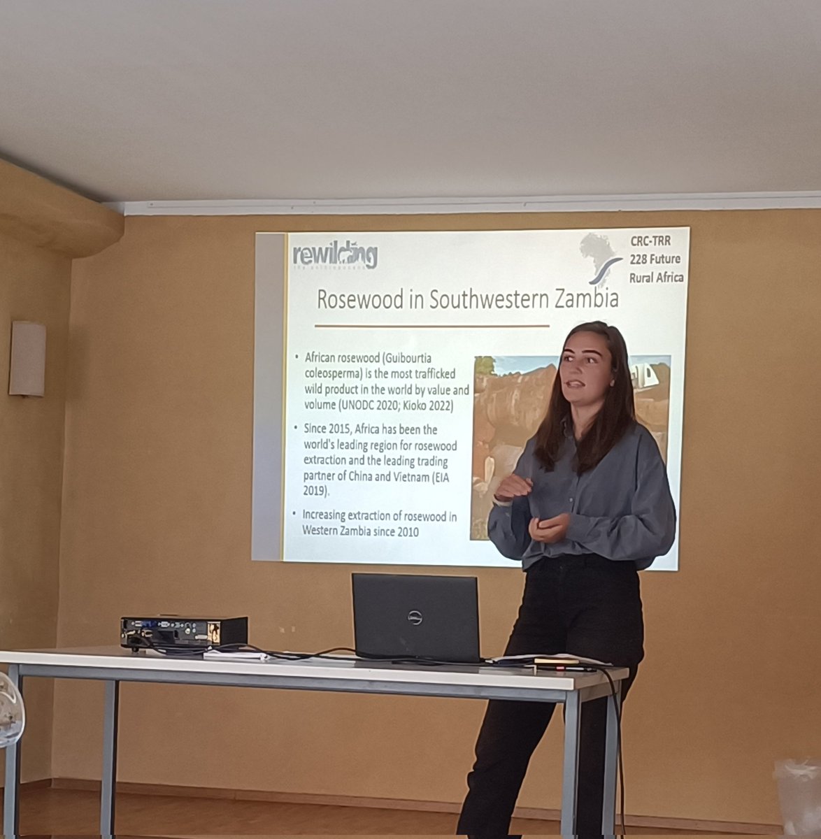 Léa Lacan (@lacan_lea) on Twitter photo Paula Alexiou presenting on her doctoral research on the rosewood assemblage in Western Zambia. Check our website for more information on our <a href="/ERC_Research/">European Research Council (ERC)</a> funded project "Rewilding the Anthropocene": rewilding.de Paula Alexiou presenting on her doctoral research on the rosewood assemblage in Western Zambia. Check our website for more information on our <a href="/ERC_Research/">European Research Council (ERC)</a> funded project "Rewilding the Anthropocene": rewilding.de