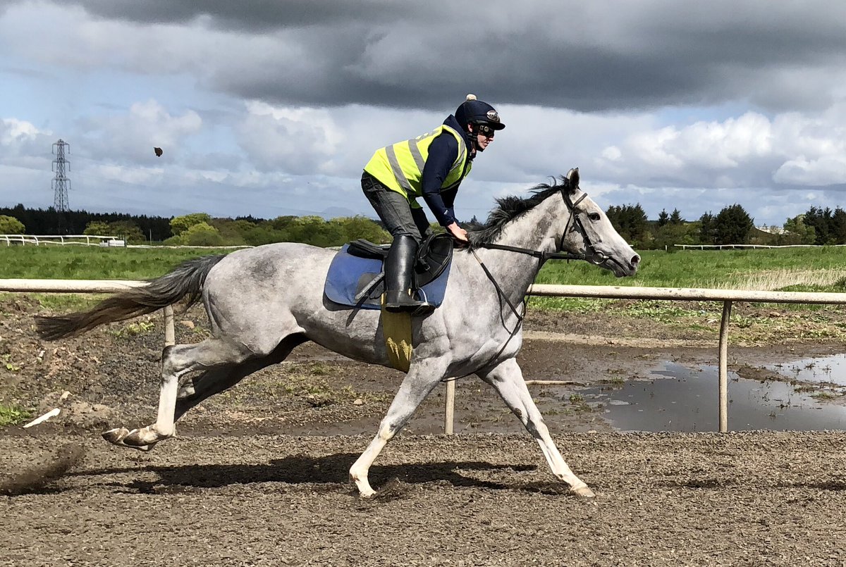 Jim Goldie Racing (@jimgoldieracing) on Twitter photo We’re <a href="/haydockraces/">Haydock Park Races</a> with <a href="/SummerstormBlo1/">Summerstorm Bloodstock</a>’s beautiful Balmaha or as we call her Misty, <a href="/EDMUNDZZ98/">Lewis Edmunds </a> rides! We’re <a href="/haydockraces/">Haydock Park Races</a> with <a href="/SummerstormBlo1/">Summerstorm Bloodstock</a>’s beautiful Balmaha or as we call her Misty, <a href="/EDMUNDZZ98/">Lewis Edmunds </a> rides!
