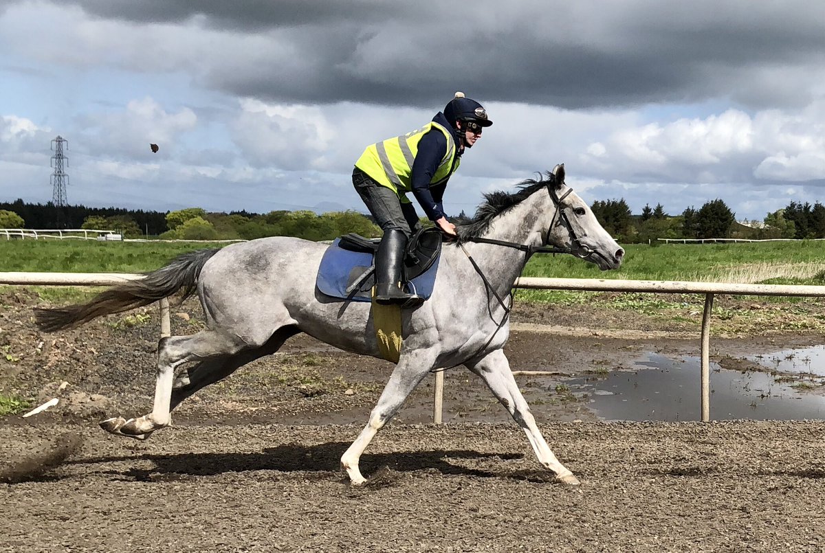 We’re @haydockraces with @SummerstormBlo1’s beautiful Balmaha or as we call her Misty, @EDMUNDZZ98 rides!