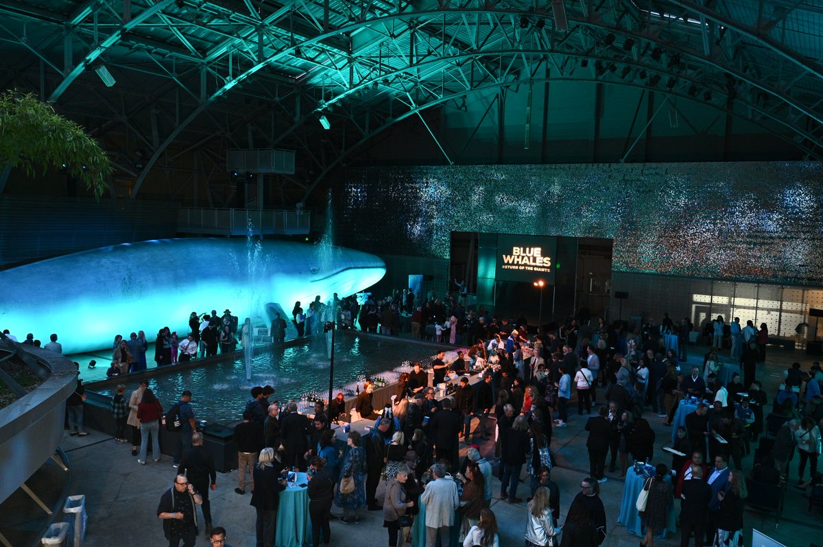 Tangled Bank Studios tweet media